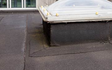 disadvantages of Ramscraigs flat roofs