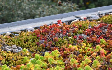 the cost of Ramscraigs green roof installation