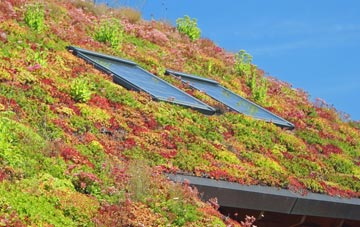 Ramscraigs living roof systems