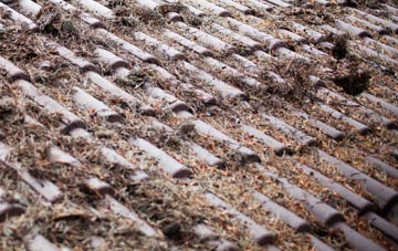 Ramscraigs roof cleaning companies