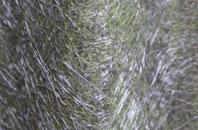 Ramscraigs fibreglass roof work